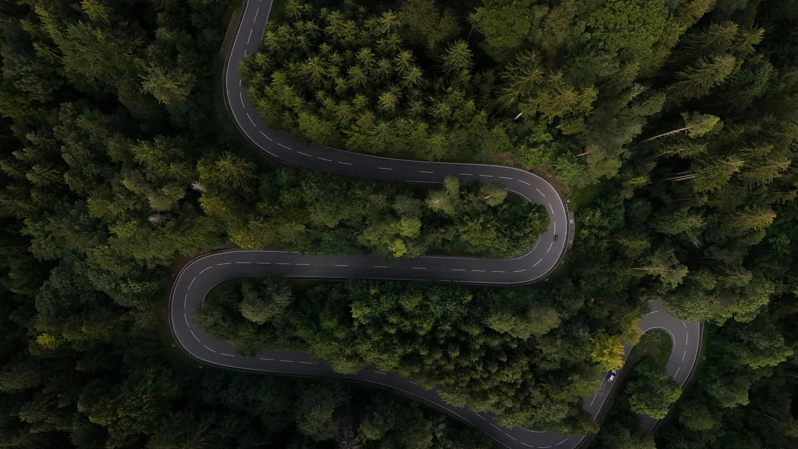 Digital transformation roadmap for Belgian SMEs: prioritization and quick wins