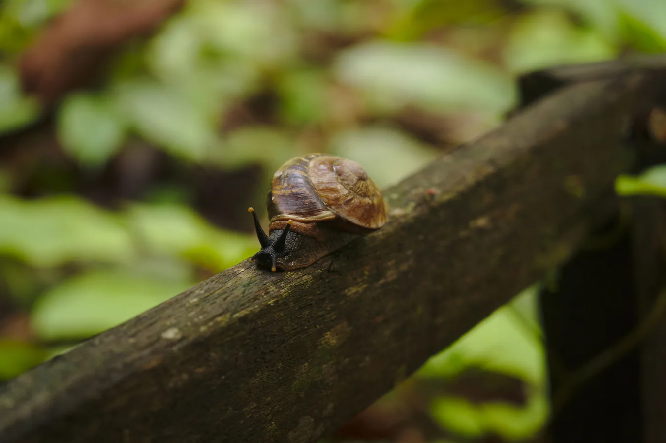 Why slow IT is killing your sales: how performance and uptime directly affect revenue