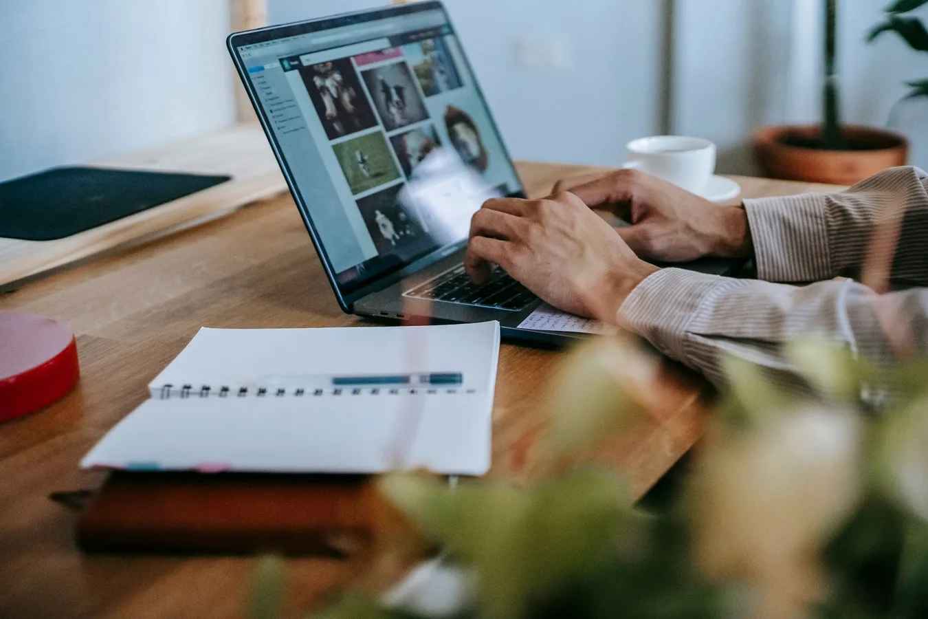 Custom software vs off-the-shelf: a cost analysis for Belgian SMEs